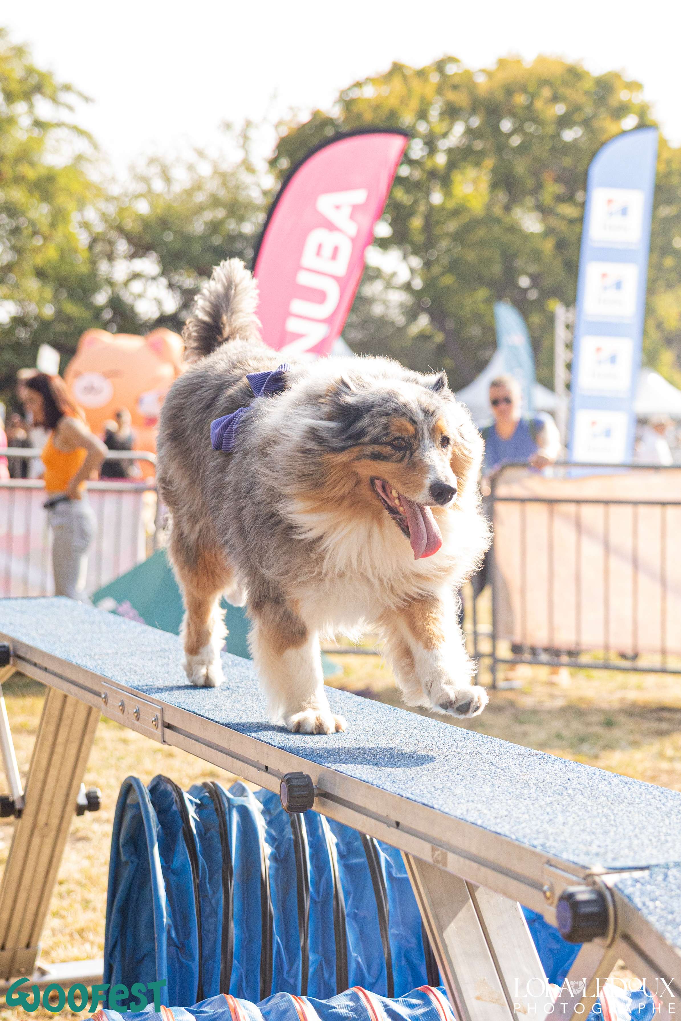 Agility
