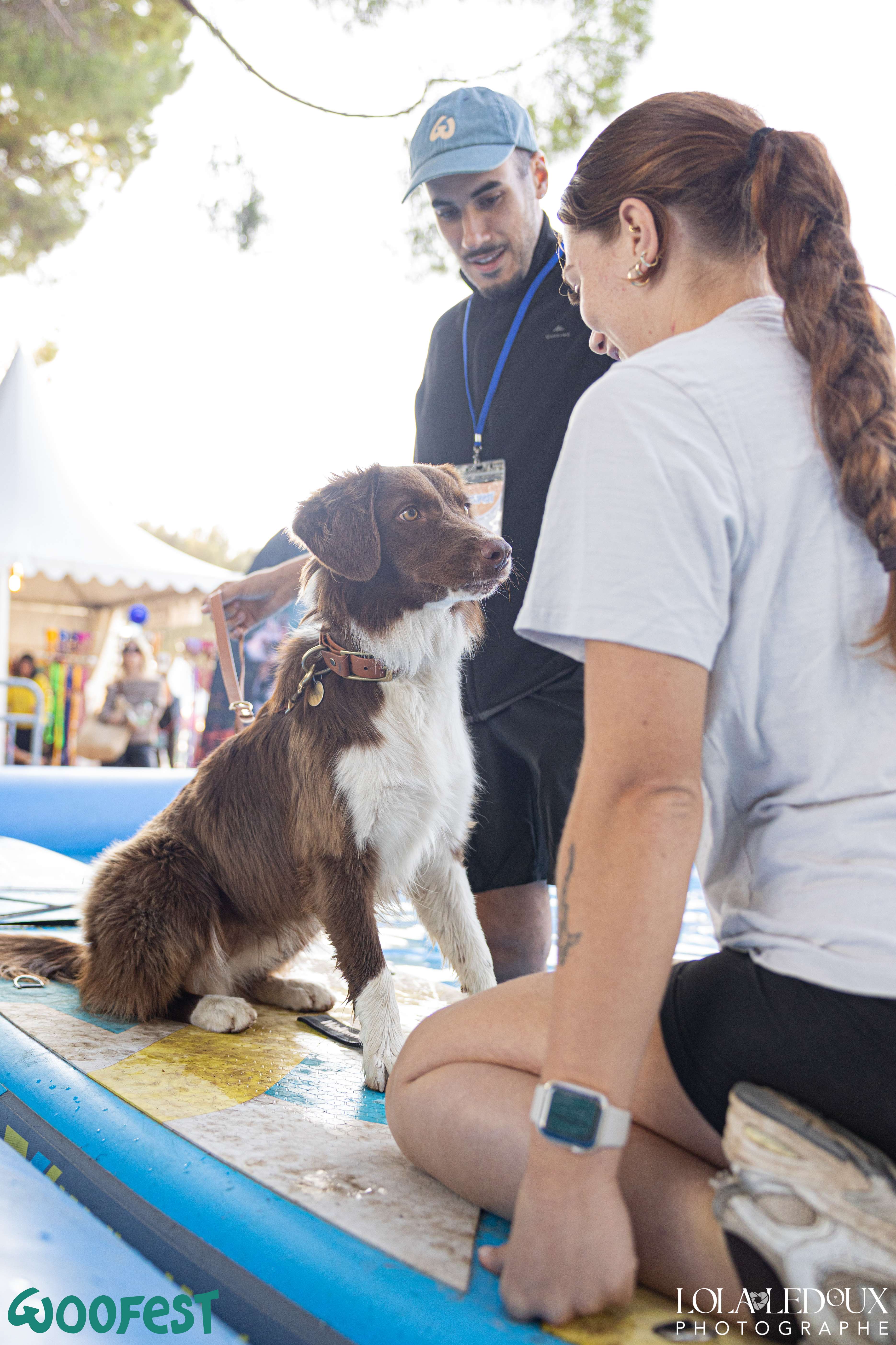 Cani-Paddle